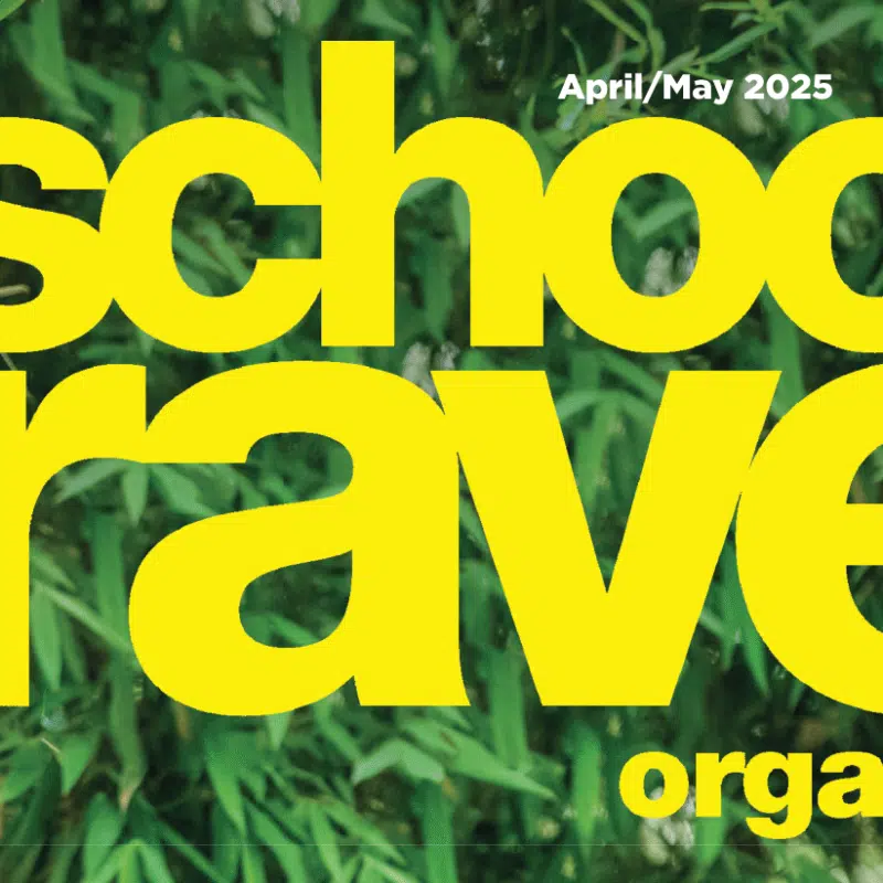 Bright yellow text reads "school travel organiser" against a green leafy background, with "April/May 2025" in smaller white text at the top.