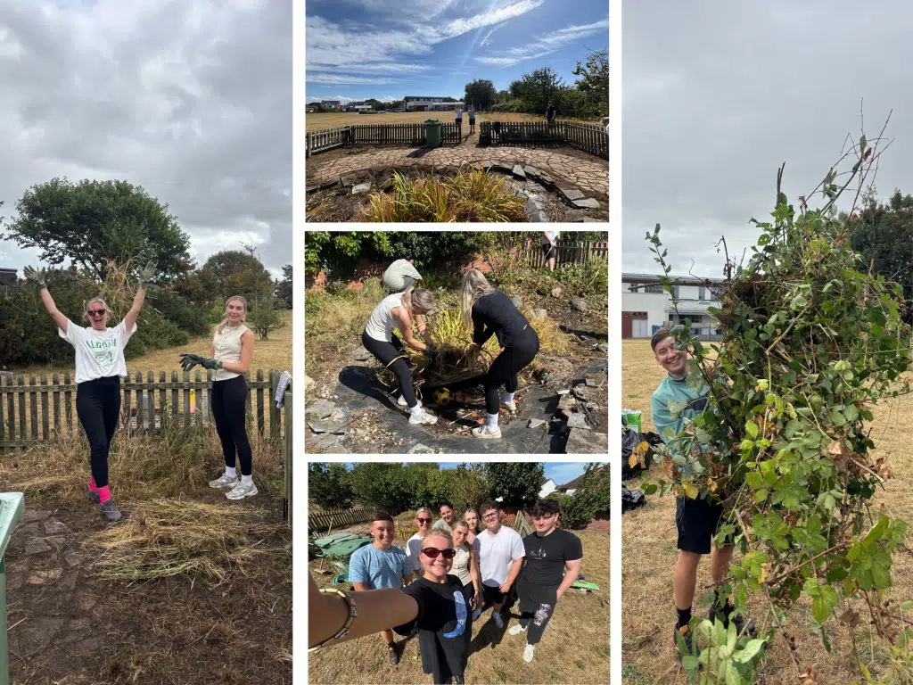 Collage showing people clearing weeds and debris from an outdoor garden area on a mostly cloudy day, with tools and pile of removed plants visible.