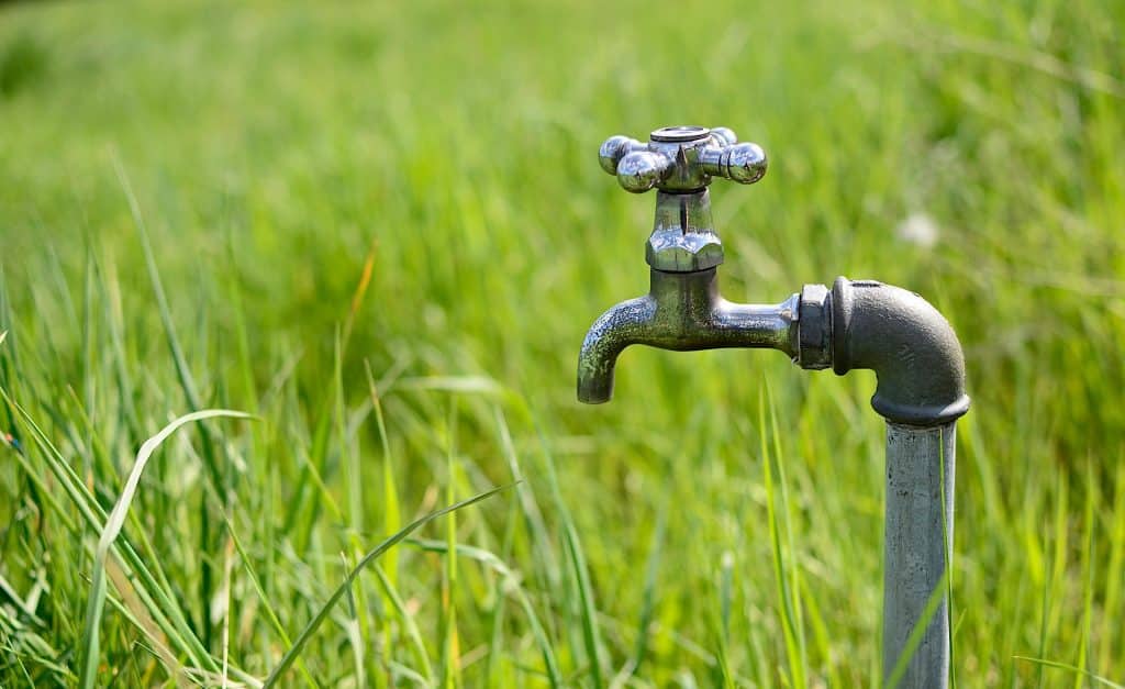Metal outdoor water tap with a valve handle stands in a field of green grass, not connected to any hose, with a blurred grassy background.